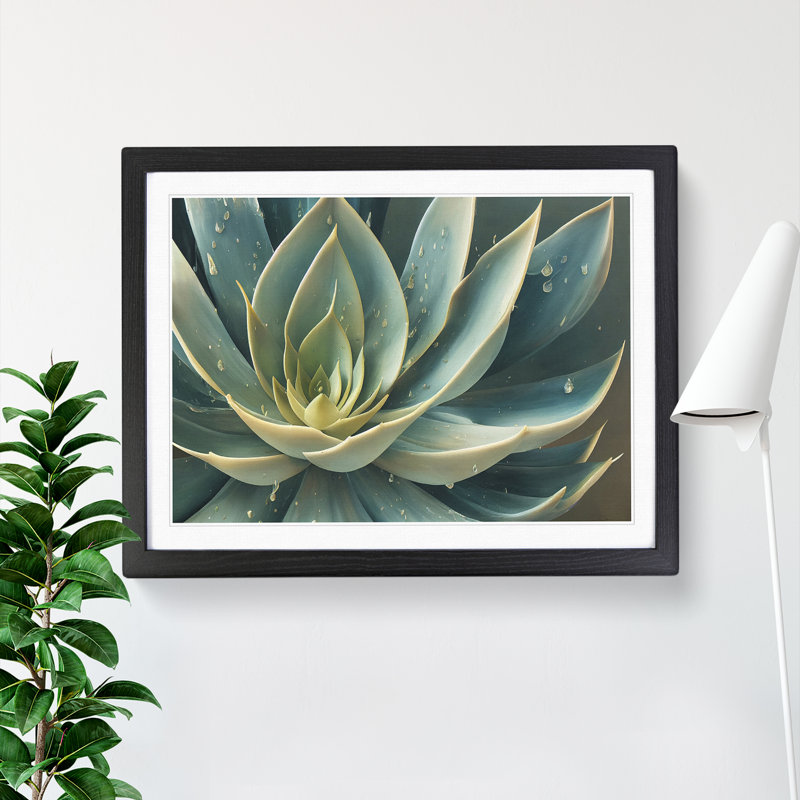 Tantalising Succulent Plant - Single Picture Frame Print, 46cm H x 64cm W x 2cm D, Black