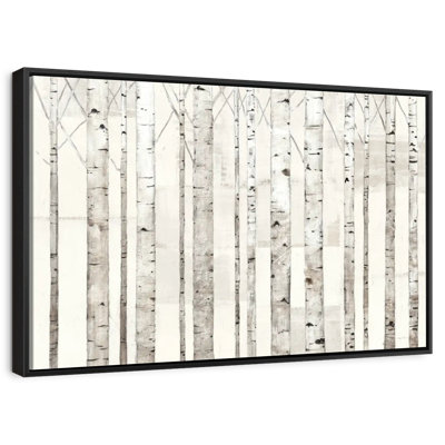 Birch Trees On White