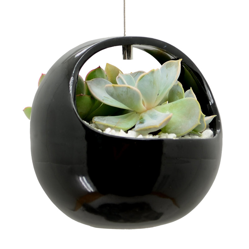Pot à fleurs suspendu en céramique Farringdon, Noir