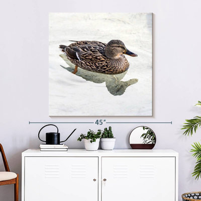 Brampt Female Mallard Duck