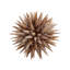 Marlin Shell Ball (LG)
