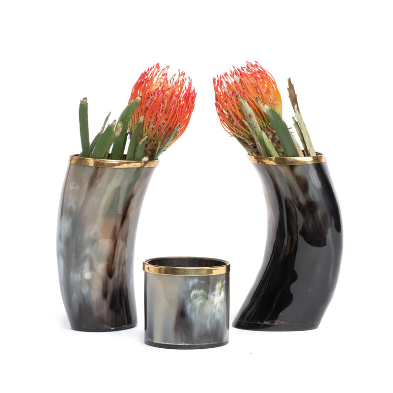 3" Ankole-Watusi Cow Horn Votive
