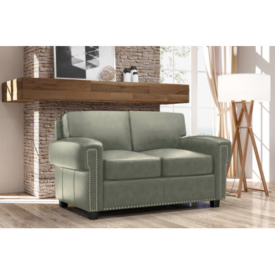 Fardin 63'' Leather Sleeper Loveseat