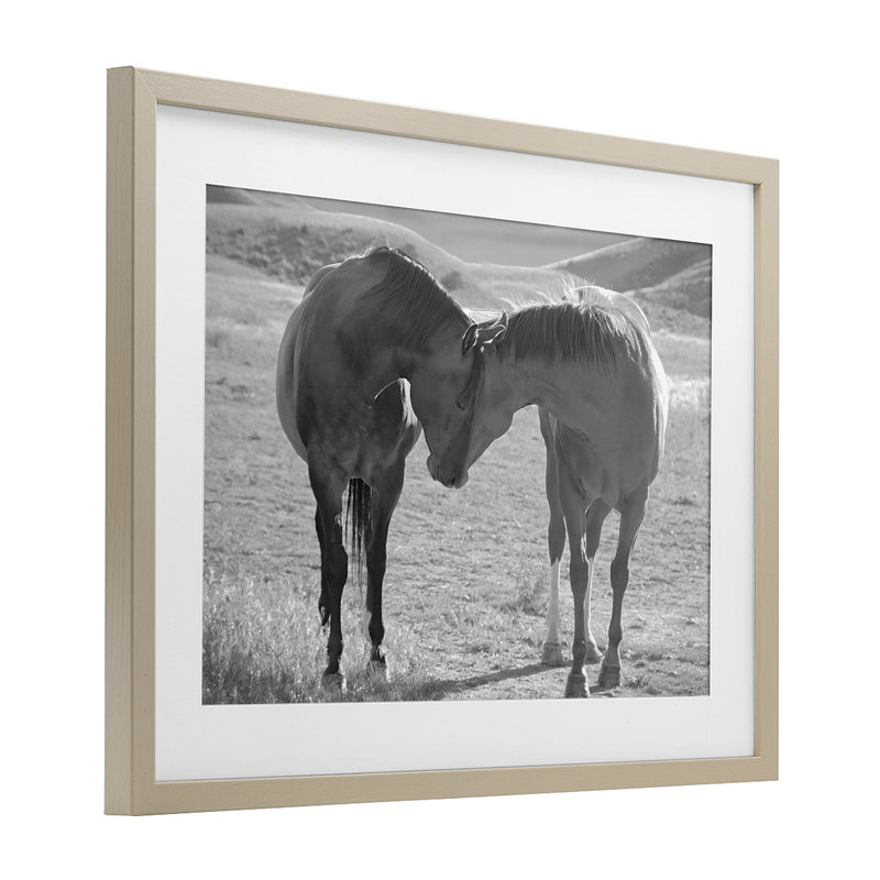«Sweet Nothings Bond entre les chevaux», reproduction sous verre encadrée, design par Steve Toole, H 17 po x l 23 po