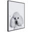 Caniche encadré sur verre