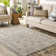 Vannie Cotton Moroccan Indoor Rug