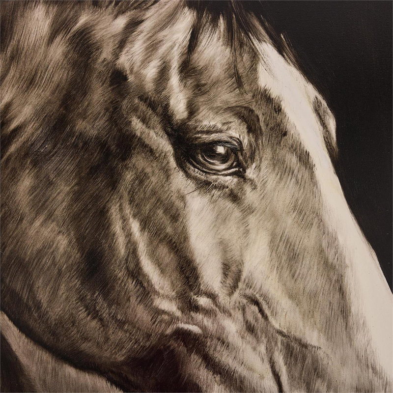 LM Zhou's Noble Equine