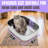 Xl Stainless Steel Sifting Litter Box, Scoop Free, Easy-to-use, Perfect For Normal Litter, Includes Scoop & Transfer Bag