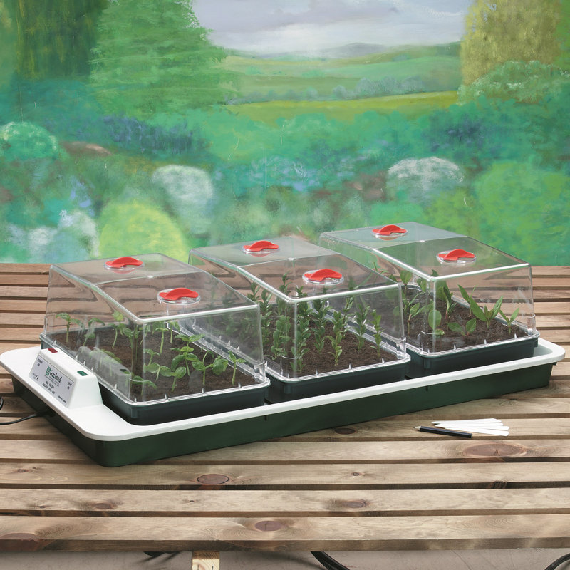 Assim 2.7 Ft W x 1.3 Ft D Mini Greenhouse
