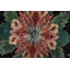 Tapis unique 11 pi 9 po x 15 pi 1 po Faruque