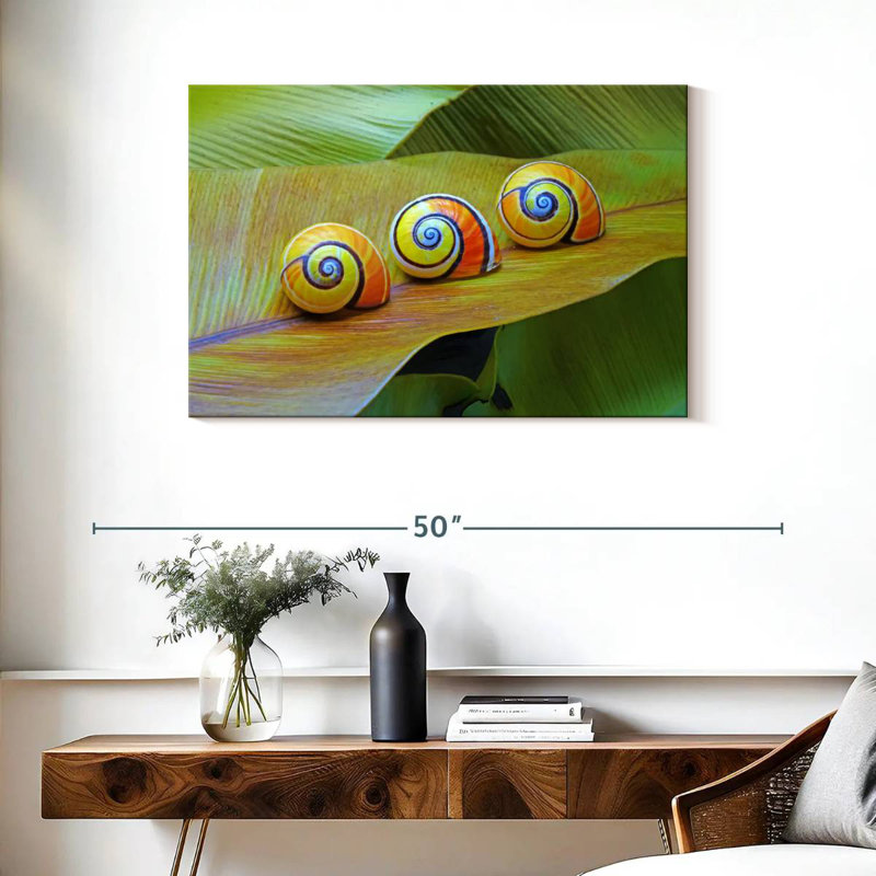 Brampt Cuban Snails, 24" H x 36" W