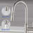 Rainlex Pull Down Kitchen Faucet-91854637