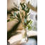 30'' Faux Eucalyptus Branch