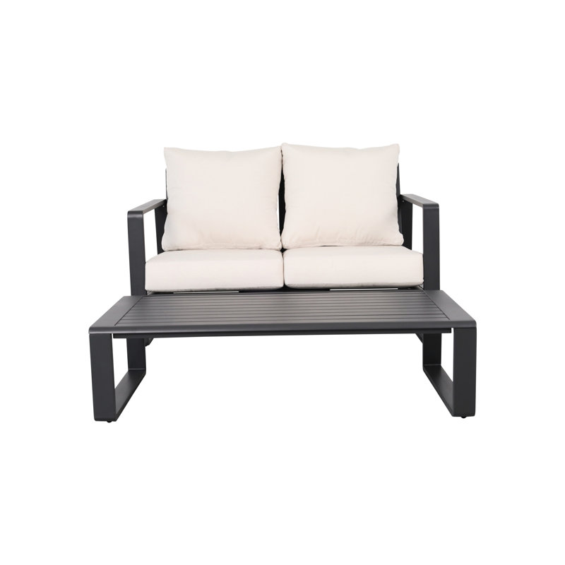 Canapé double + table basse rectangulaire