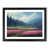 Black Framed