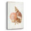  «Floursack Nautical Shells 1» par Danhui Nai, art mural en verre acrylique-1761115717