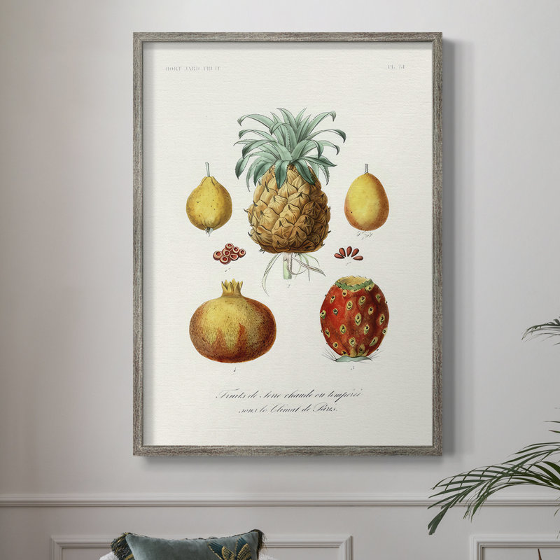 Reproduction encadrée de fruits et légumes V - bois massif, H 30 po x l 24 po