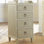Gustavian Accent Chest