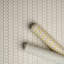 Schumacher x Neisha Crosland Centipede Stripe Wallpaper-2139648472