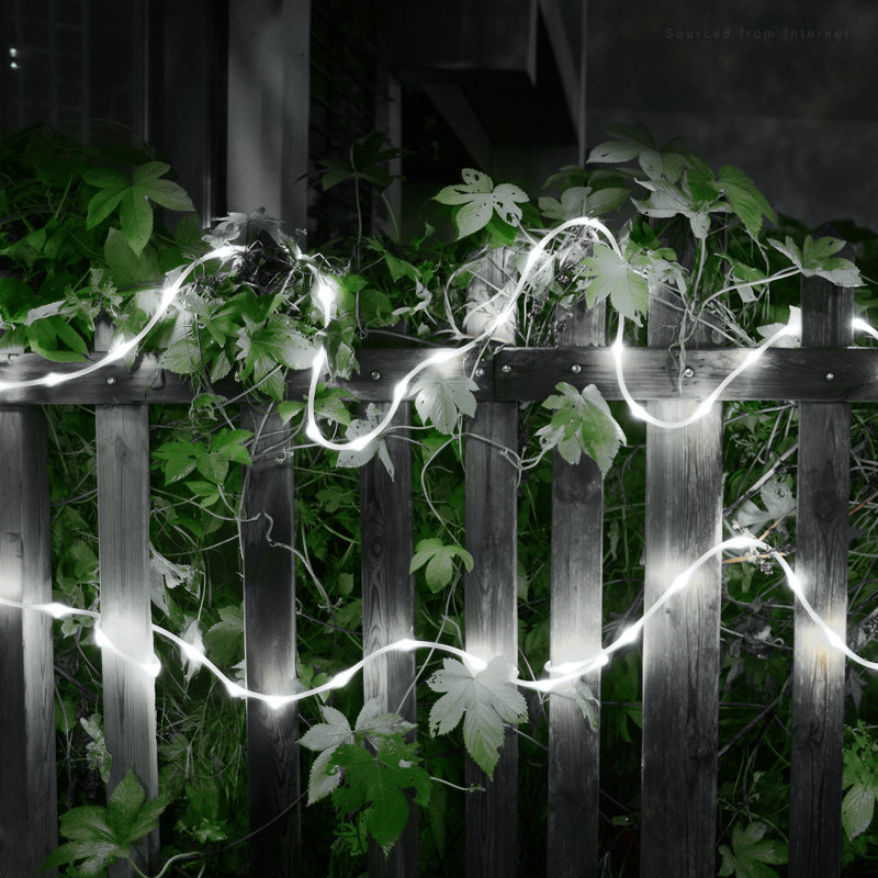 Led Rope Light With Remote Control