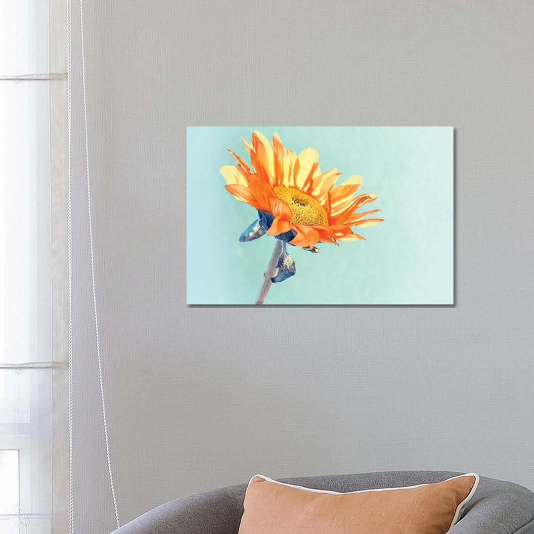 Sunflower by MScottPhotography - Wrapped Canvas Painting