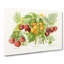 Vintage Illustration of Raspberries - Wrapped Canvas-55303690