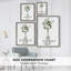 Botanical Arrangement I, reproduction encadrée - bois massif 47953-1002161060
