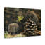 No Frame Print on Canvas-969754885