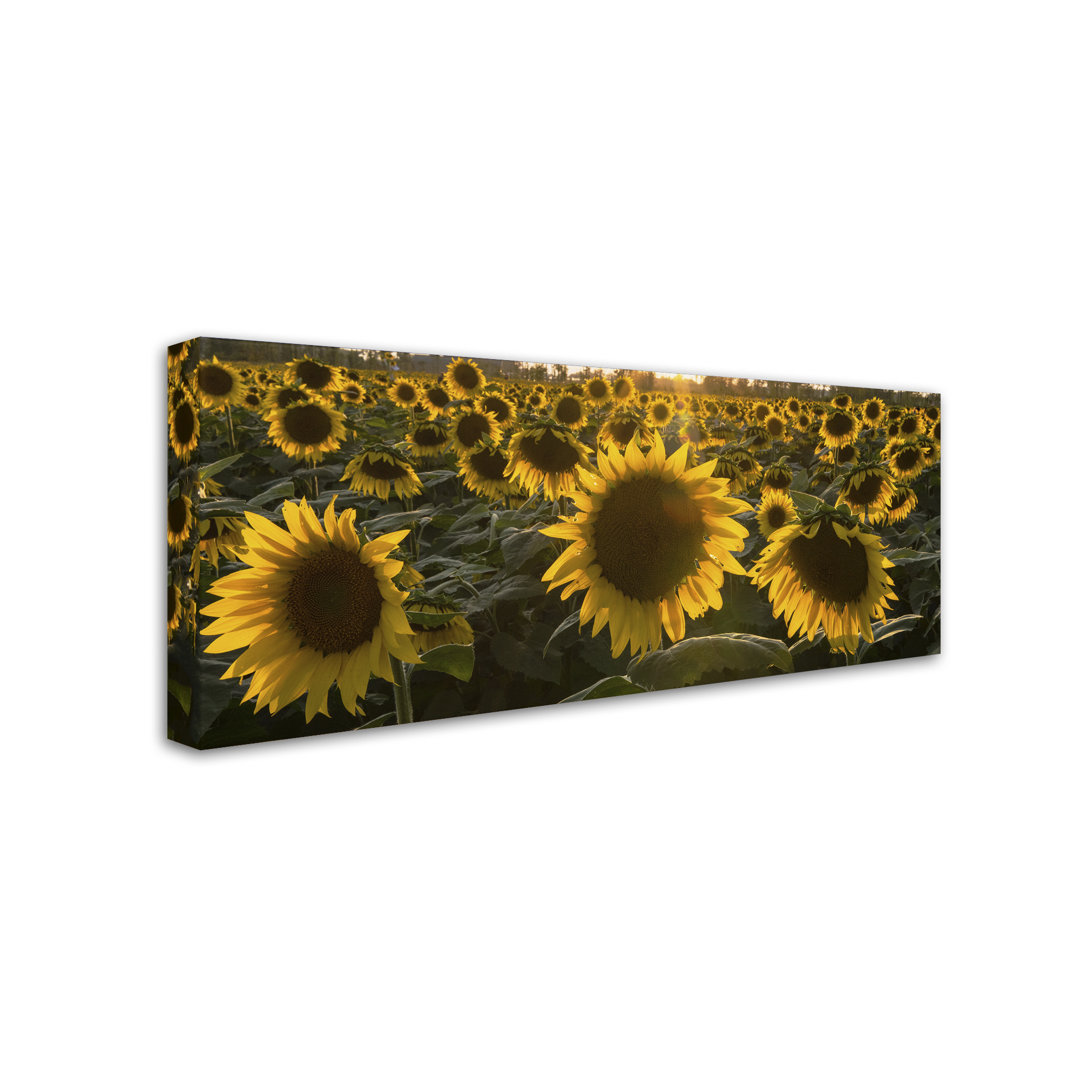 Cattima 'SUN Flower Love' Photographic Print on Wrapped Canvas Hokku Designs 