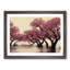 Thrilling Cherry Blossom Trees - Framed Print-1925743674-1925743678