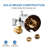 Chrome Tub Spout with Diverter and 6-Spray Handheld Shower Attachment-130037246