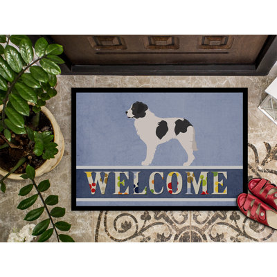 Non-Slip Outdoor Doormat