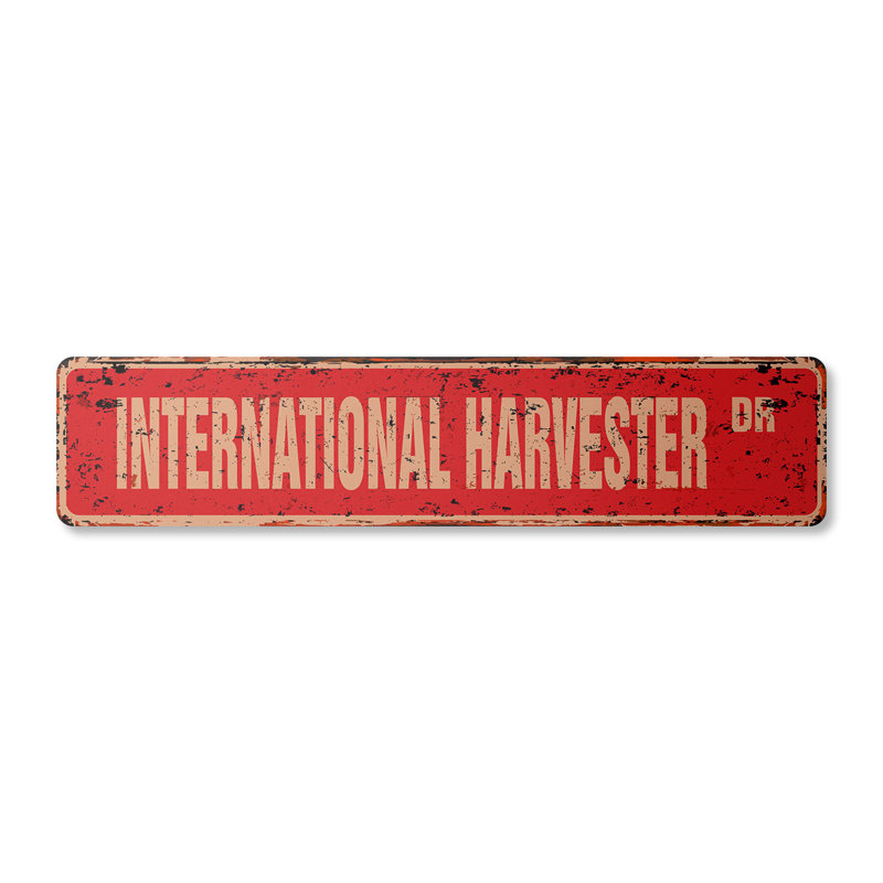 Plaque de rue internationale en aluminium 6 po x 24 po