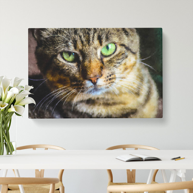 Portrait Of A Cat Vol.6 - Wrapped Canvas, 35cm H x 50cm W x 3cm D