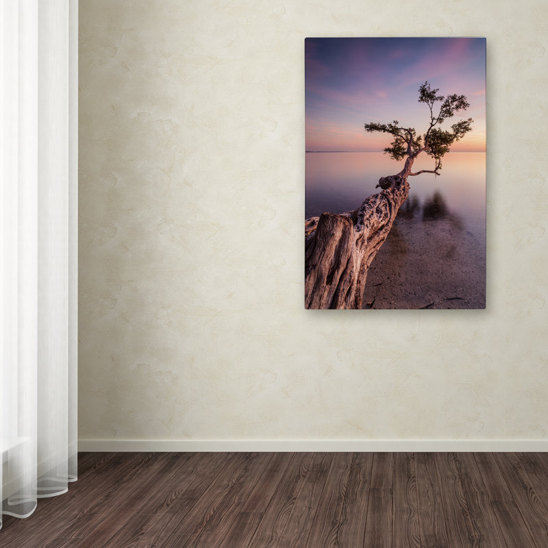 Moises Levy Water Tree IV Black and White Canvas Print