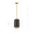 Anasol 1 - Light Brushed Gold Single Pendant-271343616