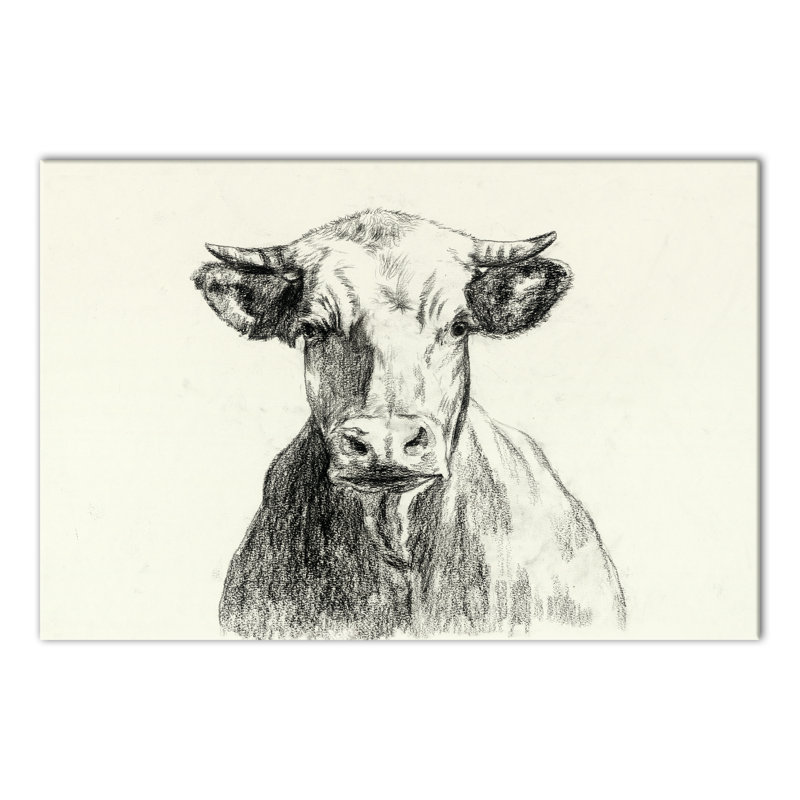 « campagne cow sketch », reproduction sur toile tendue, H 32 po x l 48 po, Toile tendue