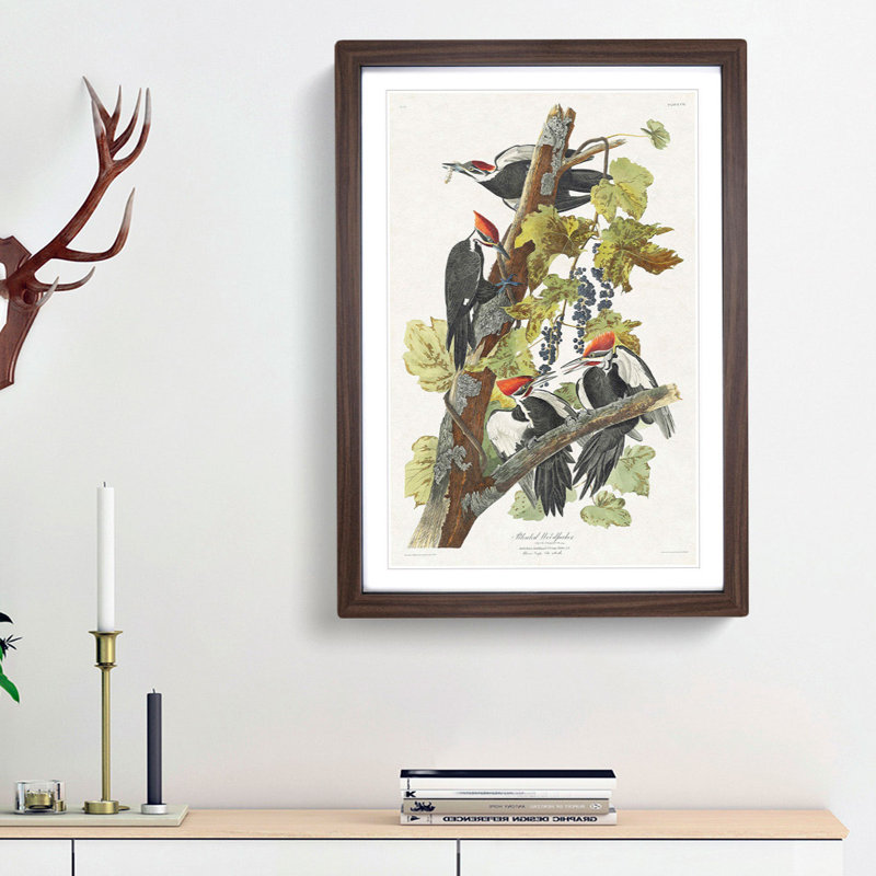 Pileated Woodpeckers by John James Audubon - Picture Frame Painting Print, 36cm H x 27cm W x 2cm D, Walnut Framed