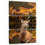 Cerf puissant Brampt-108532976