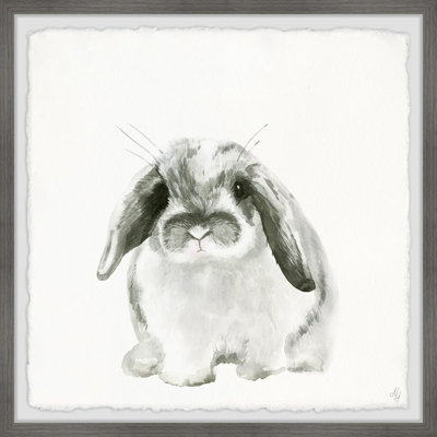 McLoud Plump Bunny Framed Print