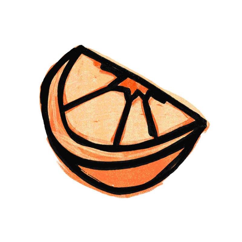 «Orange Slice Drawn 2», impression sur toile tendue, L 20 po x H 20 po