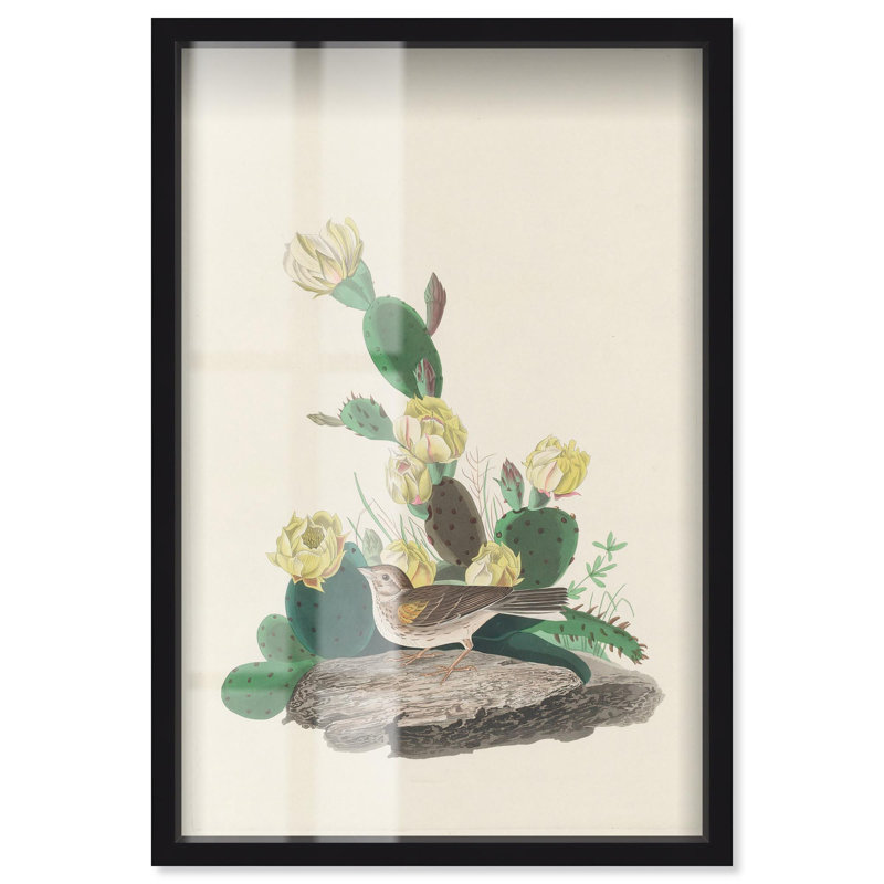 Reproduction d'art botanique Prickly Pear Perch Shadowbox par Art Remedy, H 16 po x l 11 po, Noir