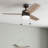 Reston 42" Ceiling Fan with LED Light-1540451108