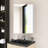 20 Inch Rectangular Medicine Cabinet With Mirror-325693540