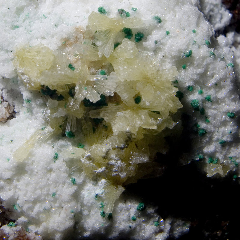 Carolinda Landscape & Nature Crystal