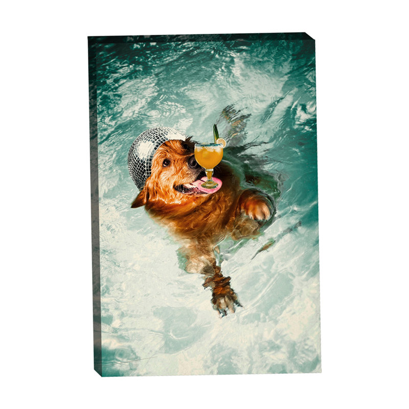 Chien disco 24 x 36