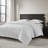 White Brushed Antimicrobial All Season EverLux Full/Queen Blanket-122481831
