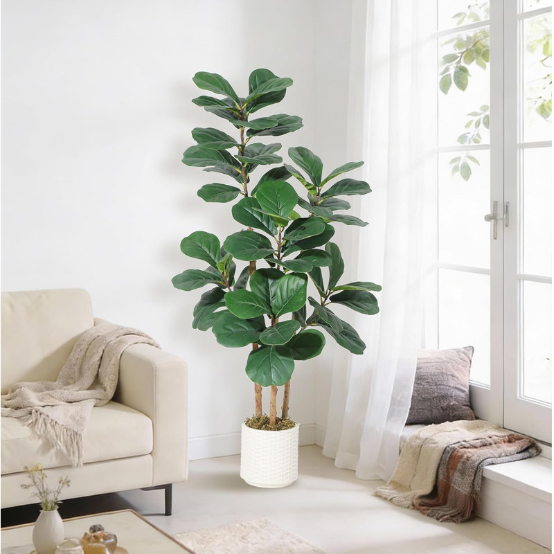 8.66cm Plant