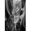 Collins, Ann, art sur toile: Arizona, page, parc tribal Antelope Canyon, Lower Antelope Canyon-802984236