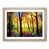 Oak Framed